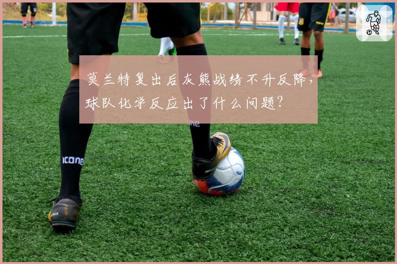 莫兰特复出后灰熊战绩不升反降，球队化学反应出了什么问题？