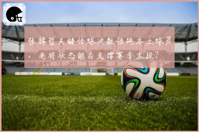 张稀哲关键传球次数领跑本土球员，老将状态能否支撑赛季末段？