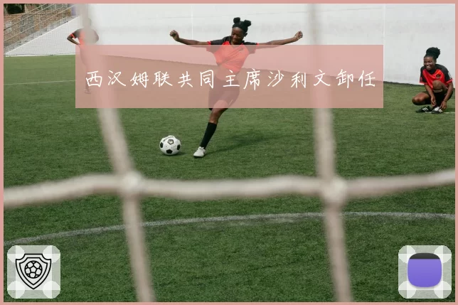 西汉姆联共同主席沙利文卸任