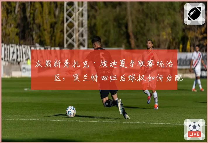 灰熊新秀扎克·埃迪夏季联赛统治禁区，莫兰特回归后球权如何分配？