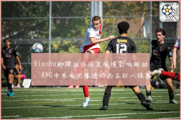 Xiaohu脚踝扭伤恢复缓慢影响跑动，RNG中单或无缘德玛西亚杯八强赛