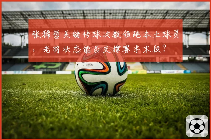 张稀哲关键传球次数领跑本土球员，老将状态能否支撑赛季末段？