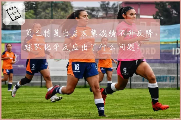 莫兰特复出后灰熊战绩不升反降，球队化学反应出了什么问题？