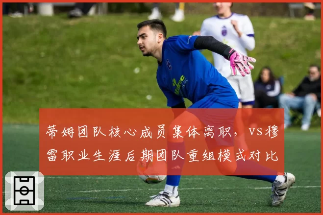 蒂姆团队核心成员集体离职，vs穆雷职业生涯后期团队重组模式对比