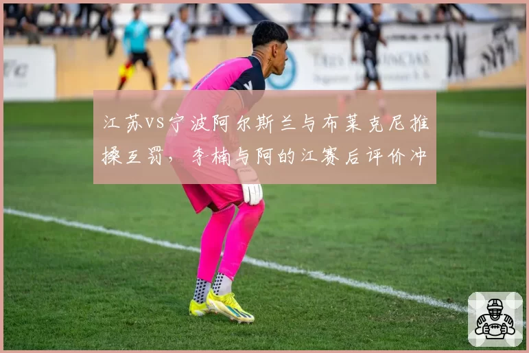 江苏vs宁波阿尔斯兰与布莱克尼推搡互罚，李楠与阿的江赛后评价冲突方式迥异