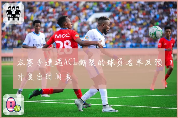 本赛季遭遇ACL撕裂的球员名单及预计复出时间表